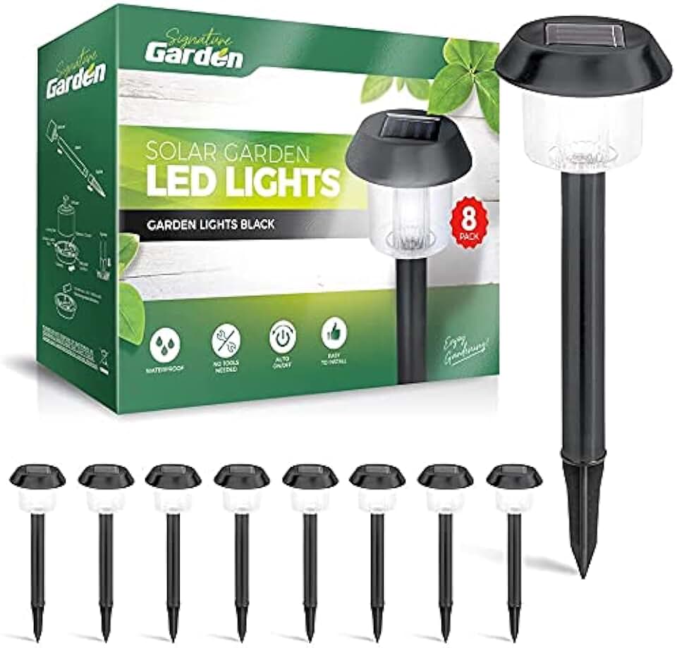 Amazon.ca solar lights outdoor garden