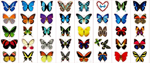 Premium Butterfly Stickers, Decals - for Cards, Envelopes, Laptops, Windows