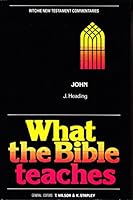 Gospel of John (Ritchie New Testament Commentaries) by Allen, Jim 0946351120 Book Cover