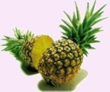 Faeries Finest Flavor Extract, Pineapple, 2.13 Ounce