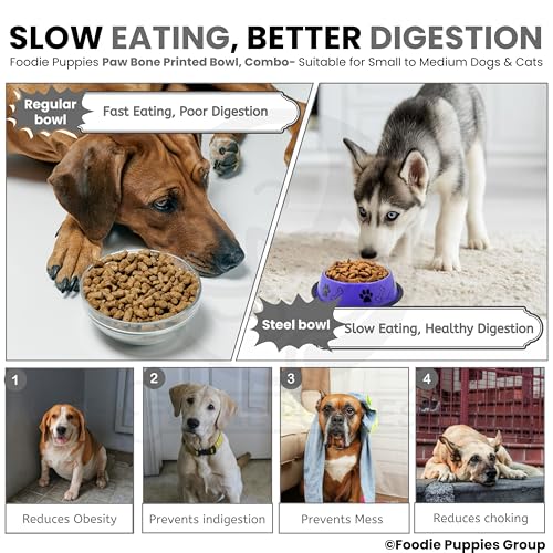 Image of Foodie Puppies Stainless Steel Dog Bowl Combo - (Medium, 700ml) Food and Water Feeding Gift Bowl | Suitable for Dogs, Cats and Other Pets I Paw Bone Print, Anti-Skid Rubber Base (Black + Purple)