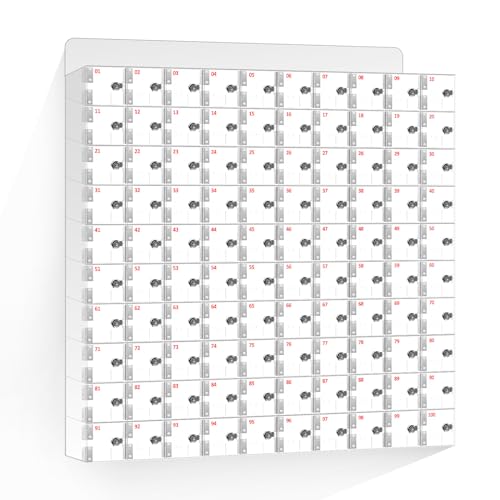 DEFNES Cell Phone Locker Box, Clear Cell Phone Storage, Acrylic Cell Phone Lock Box with Door Locks and Keys, Wall Mounted Cell Phones Storage Cabinet for Office School Classroom Factory (100 Doors)