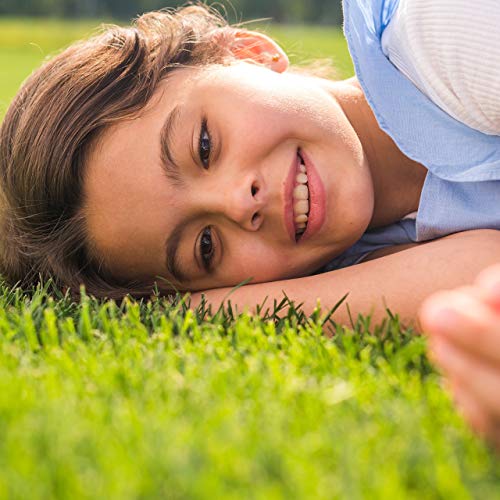 Nyc Sterling Silver Bead Ball Studs – 3Mm-10Mm Earrings-Plain Round Polished Hypoallergenic Studs For Women, Girls (3Mm To 10Mm) #TOP4