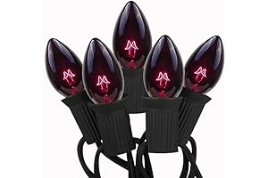 Halloween Black Purple Outdoor String Lights with 27 Edison Bulbs