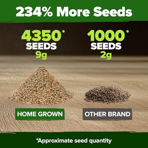 Image of HOME GROWN Arugula Roquette Seeds 4350+ Bulk Pack Heirloom Non-GMO, High Germination, Peppery Salad Greens, Indoor Outdoor Hydroponic Garden, Microgreens, Year-Round Harvest (Eruca vesicaria)