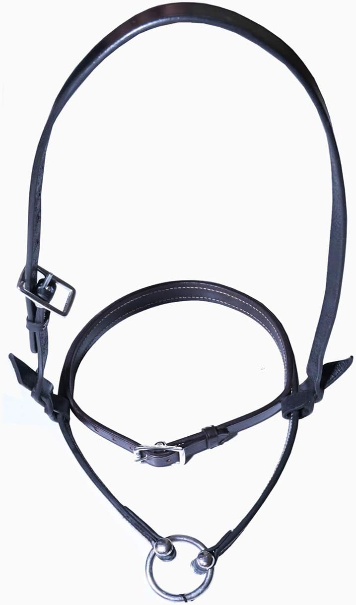 Saddlesworld Stylish Western DD Leather Noseband for Horses | Equestrian Leather Noseband Sizes