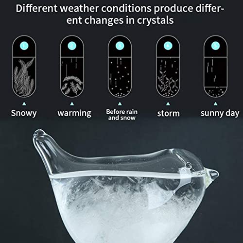 image for Weather Station Forecaster Decoration Craft - Storm Glass Weather Stat
