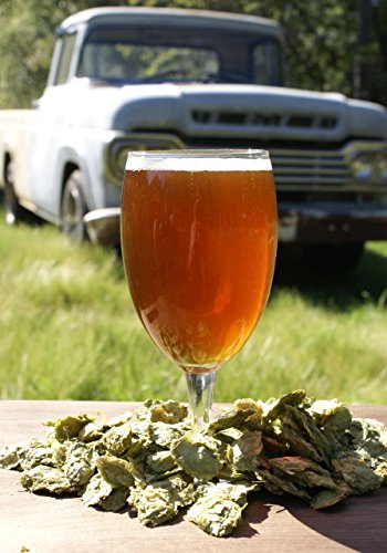 Amarillo Red 5gl All Grain Recipe