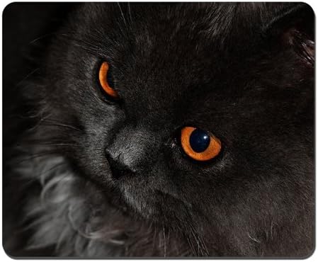 Black Cat Orange Eyes Mousepad,Gaming Mouse Pad (10.2x8.2 inches)