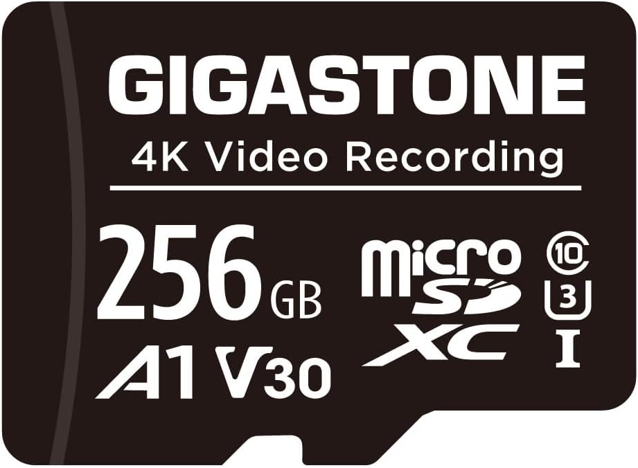 GIGASTONE 256GB Micro SD Card A1 V30 1-Pack, Full HD Video, Surveillance Security Cam Action Camera Drone, 100MB/s Micro SDHC Class 10