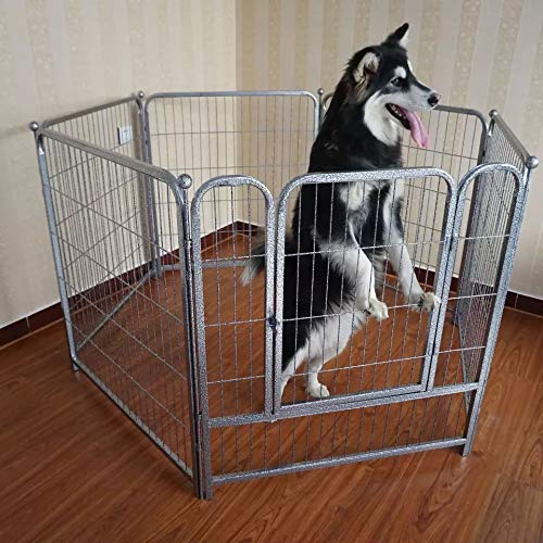 WHJ Pet Fence expert tips