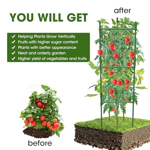 MQHUAYU 3 Pack Tomato Cage,Tomato Cage for Raised Garden Bed, 48'' Tall Tomato Trellis Triangle or Square Cages for Garden,Pots, Plant Cages & Supports（Green, Extra Bold ）