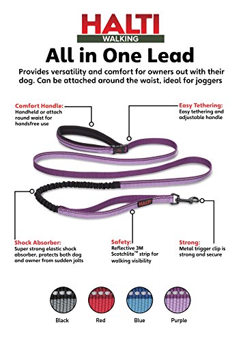 Image of HALTI Active Leash - Award-Winning Bungee Dog Leash, Shock-Absorbing, All-in-One Neoprene Padded Belt & Lead, Perfect for Running & Training with Medium & Large Dogs (Size Large, Purple) | Award-Winning Bungee Dog Leash | Shock-Absorbing Anti-Pull Leash | Padded Belt | Running & Training Medium & Large Dogs