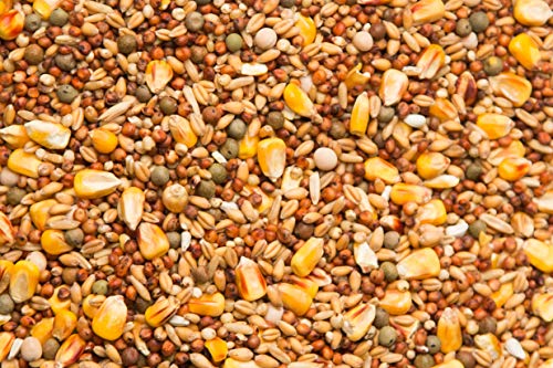 Purgrain Economy 11% with SYC– 50 lb bag