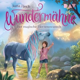 Der magische Herzenswunsch Titelbild