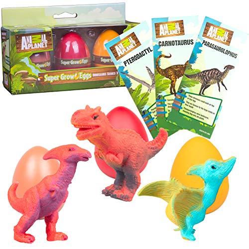 Animal Planet Super Grow Dinosaur Eggs 3 Pack - Dino Egg Toys Hatch and Grow to 3x Size in Water - Pterodactyl, Carnotaurus, & Parasaur w Educational Fact Cards