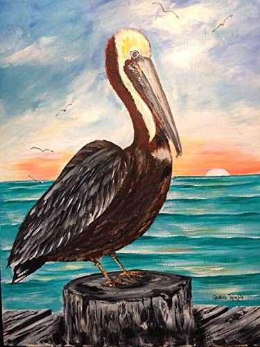 Amazon Com Pelican On Post At Sunrise Art Print Handmade Products Amazon Com Pelican On Post At Sunrise Art Print Handmade Products