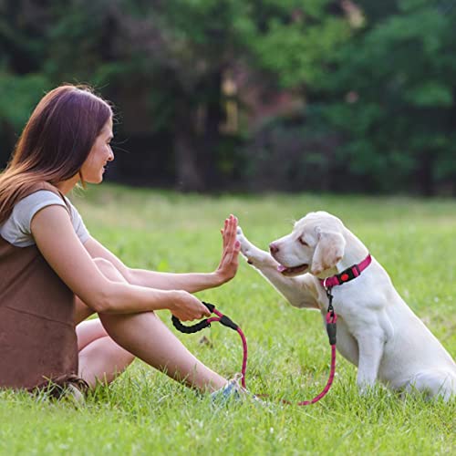 Erbine Dog Collar And Leash Set, Reflective Dog Collars With Safety Locking Buckle, 6Ft Heavy Duty Matching Dog Leash, 7 Colors And 4 Sizes For Medium Dogs, Hot Pink #TOP3