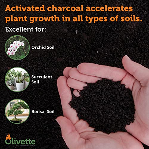 Horticultural Activated Charcoal For Plants By Olivette | Terrarium Horticulture Moisture Absorbers | Terrarium Supplies | Usda Organic Certified | Made From Recycled Olive Tree Byproducts | 1 Qt Bag #TOP3