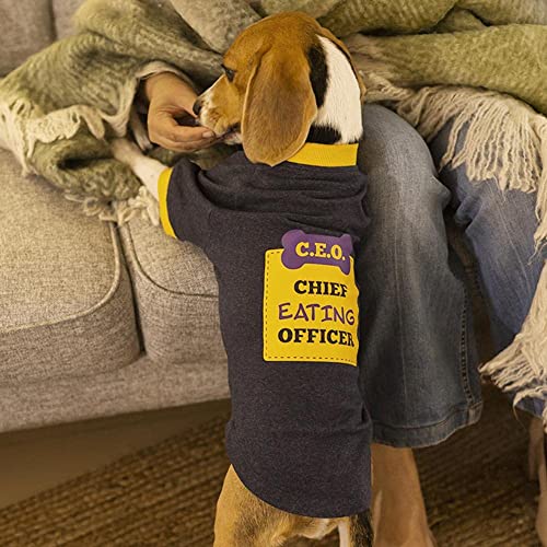 Image of Heads Up For Tails fleece Sweatshirt For Dogs (M, Blue), 1 count