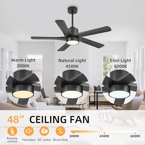 Image of WINGBO 48 Inch DC Ceiling Fan with Lights and Remote Control, 5 Carved Solid Wood Blades, 6-Speed Noiseless Reversible DC Motor, Indoor Ceiling Fan in Matte Black Finish with Black Blades