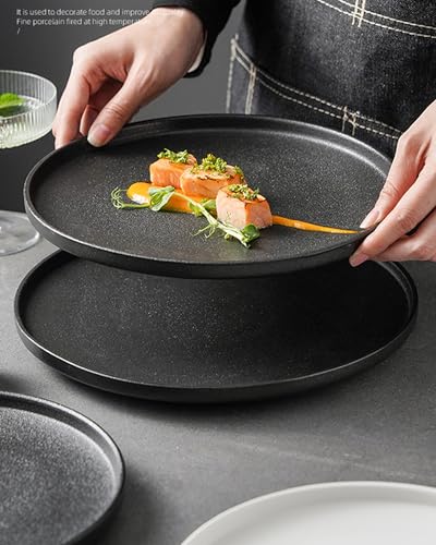 Lareina-Dinner-Plates-Scratch-resistant-1025-Inch-Flat-Ceramic-Plate-Set-of-4-Porcelain-Plates-with-Lipped-Edge-for-Salad-Steak-in-Kitchen-Restaurant-Natural-Primitive-Texture-Cast-Iron-Black Lareina Dinner Plates Scratch resistant 1025 Inch Flat Ceramic Plate Set of 4 Porcelain Plates with Lipped Edge for Salad Steak in Kitchen Restaurant Natural Primitive Texture Cast Iron Black