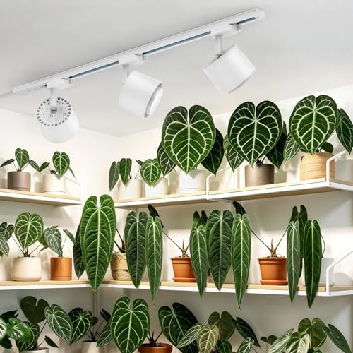 Barrina TR40c Track Grow Light for Indoor Plants, 3 x 40W, 5000K Full Spectrum Ceiling Grow Lamp with Adjustable Beam Angle, with Timer for Growing Plants, 3-Head H-Type Track Light System
