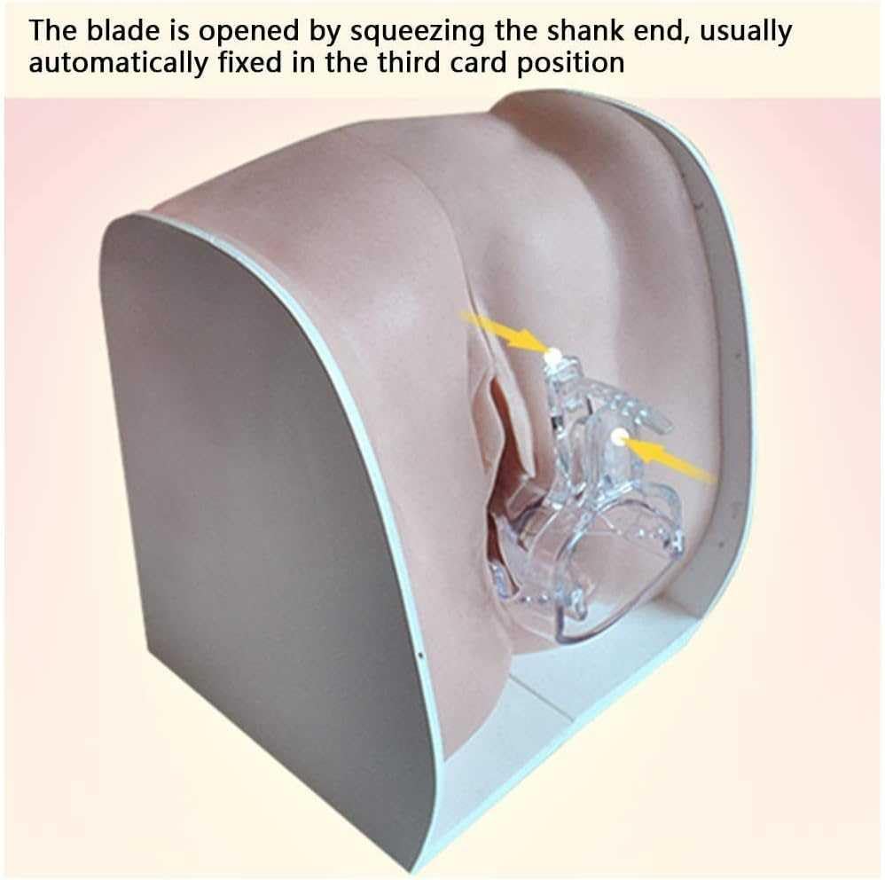 Miniatura 3 de Modelo de maniquí ginecológico femenino, modelo de entrenamiento Iud Modelo de anatomía genitales femeninos Modelo humano con estructura de anatomía