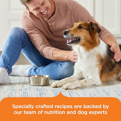 Nutrish Savory Lamb Stew Wet Dog Food, 8 oz. Tub (Pack of 8) (Rachael Ray) - image 6