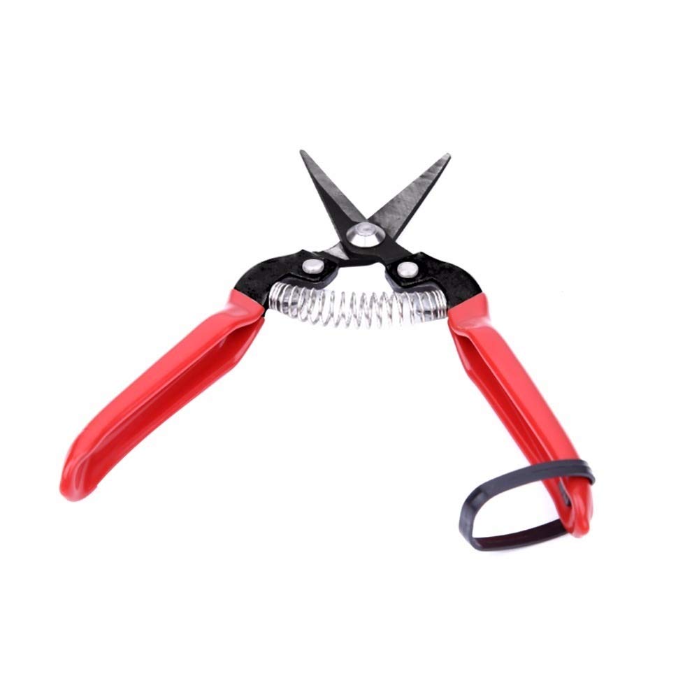 Cesoie di potatura L'innesto Giardino Forbici alto tenore di carbonio acciaio Fruit Tree Cesoie Bonsai Pruners Giardinaggio Cesoie del giardino Cesoie .Per il giardino, gli alberi, i cantieri, il parc