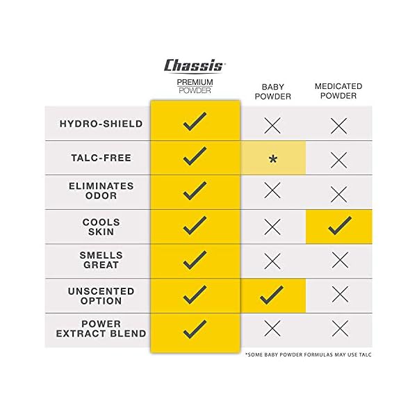 Chassis-Premium-Ice-Max-Talc-Free-Body-Powder-for-Men-All-New-w-Max-Cooling-Sensation Chassis Ice Max Premium Body Powder for Men, Odor-Absorbent, Anti-Chafing, Talcum-Free, Menâs Hygiene Comfort Powder, Natural Ingredient Ball Deodorant for Men, Original Fresh Scent