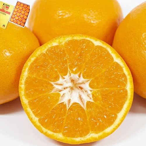 愛媛県産　ハウスみかん　5kg 000000000291-04-m.jpg?t=