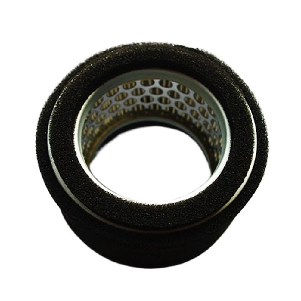 Filtro de aire compatible con desbrozadoras con motor EC08, EC10 y EC12. Repuesto de filtro de aire.(2 X Air filter)