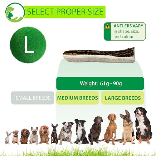 Primary Pets Premium Pet Supplies SPLIT Antlers for Dogs Size LARGE, Naturally Shed, Sustainable - Image 4