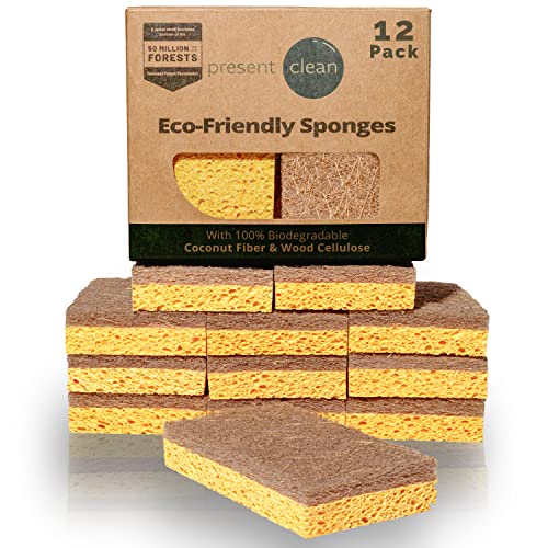 Present Clean Biodegradable Cellulose and Coconut Sponges #TOP30