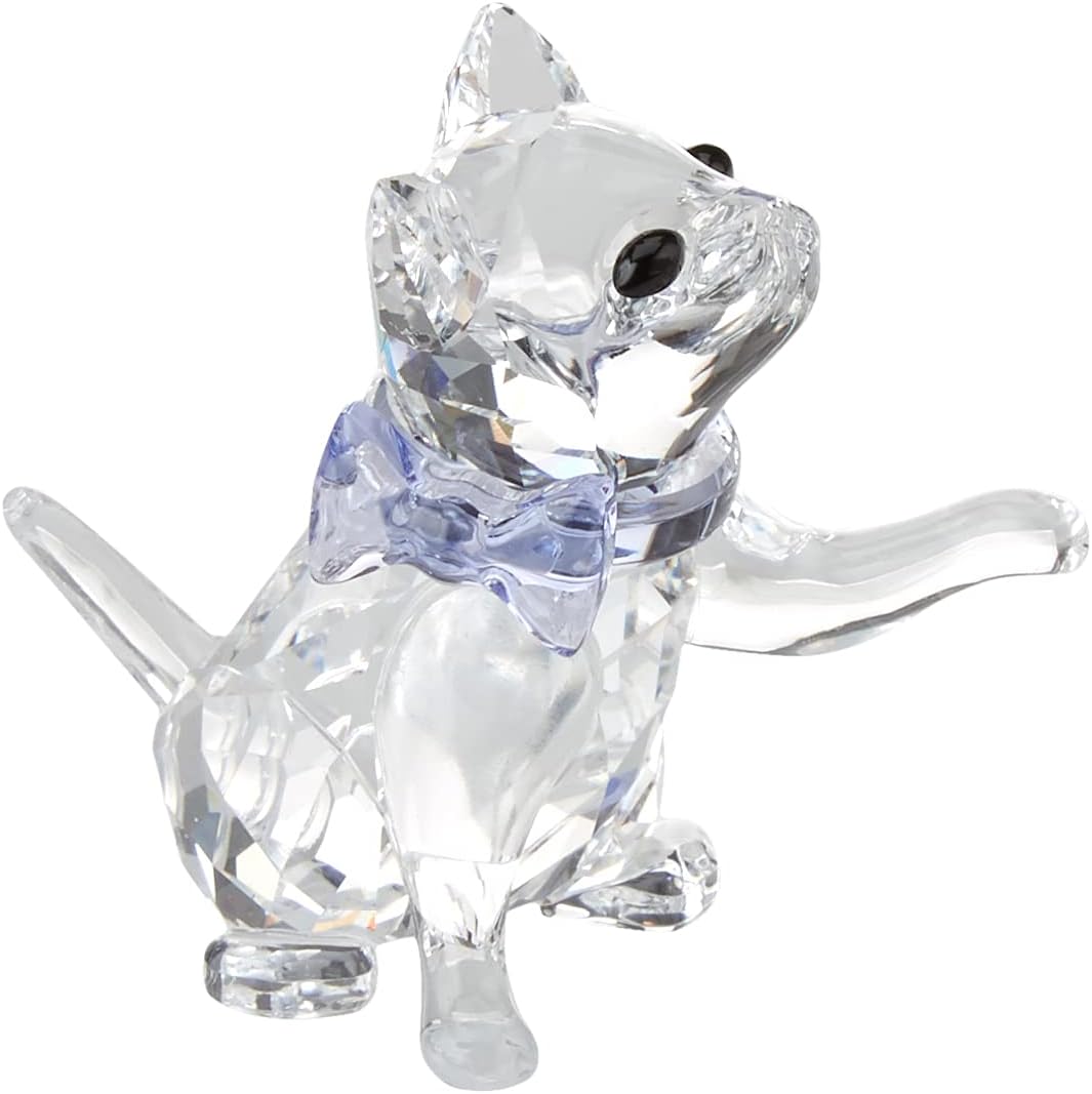 Kitten Clear One Size
