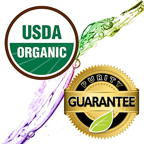 Healing Solutions Oils Blends 10Ml - Good Sleep Blend Essential Oil - 0.33 Fluid Ounces #TOP1