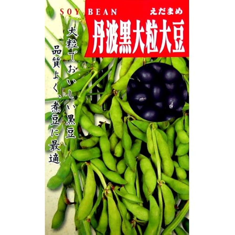 丹波の黒豆の種(固定種・Tanba black soybeans) 丹波の黒豆の種(固定種・Tanba black soybeans) 丹波の黒豆の種(固定