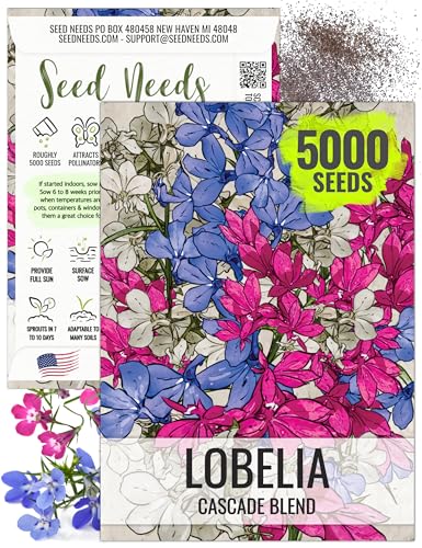 Seed Needs, Cascade Mixture Lobelia Seeds - 5,000 Heirloom Seeds for Planting Lobelia pendula - Colorful Flowers Great for Hanging Baskets, Pots & Containers (1 Pack)
