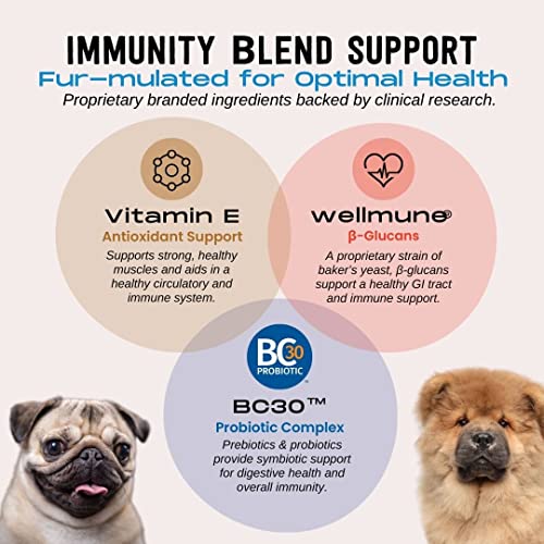 Skin & Immune Seasonal Support Soft Chews - Snub-Nosed Dog Allergy Support Health Supplement With Omega 3 Fatty Acids, Colostrum, Wellmune®, & Bc30™ Probiotics, Natural Beef Flavor, 60 Count #TOP7