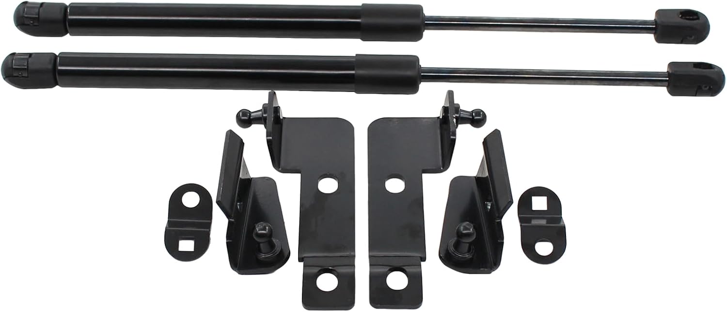 ApplianPar 2Pcs Front Left and Right Hood Lift Support Kit for Frontier Navara Pathfinder Xterra 2004-2018