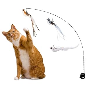 The Original 5-in-1 Bird Set for Real-Life Hunting Training for Indoor Cats, Dancer Toy with Colorful Natural Feathers and Bell