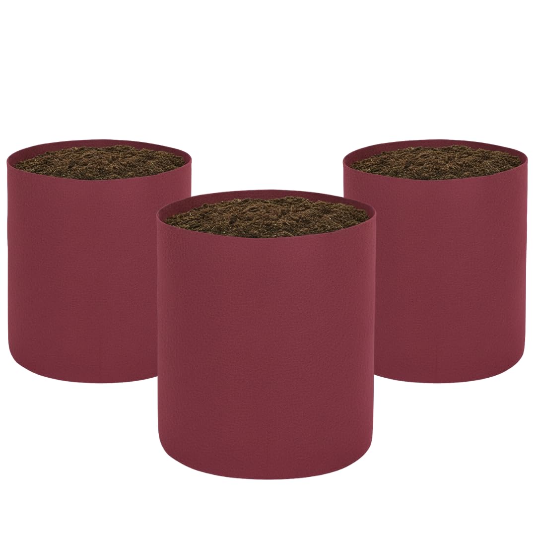 Indigrow Superior Geo Fabric Grow Bag 24x24 Inch | 400 GSM Premium | UV Protected | Extra Large Heavy Duty Breathable Fabric Pot | for Banana, Papaya, Dwarf Mango, Lemon & Guava | Maroon| Pack of 3-image-4