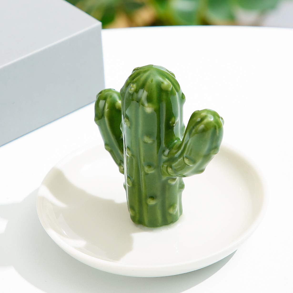 AUTODECO Ceramic Ring Holder Handmade Trinket Dish for Rings Earrings Necklace Organizer Display Great Birthday for Women Green Cactus