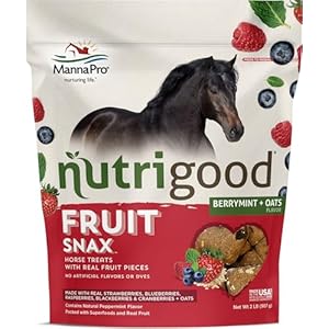 Manna Pro Nutrigood FruitSnax Horse Treats | Tasty Horse Treats Packed with Superfoods and Real Fruit Pieces | BerryMint + Oats Flavor | 2 Pounds