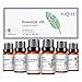 Ätherische Öle Set, Ätherische Öle für Diffuser, Duftöle für Diffuser, Luftbefeuchter, Kerze, Seifenherstellung(Lavendel, Teebaum, Pfefferminze, Jasmin, Rose, Vanille) - 6x10mL