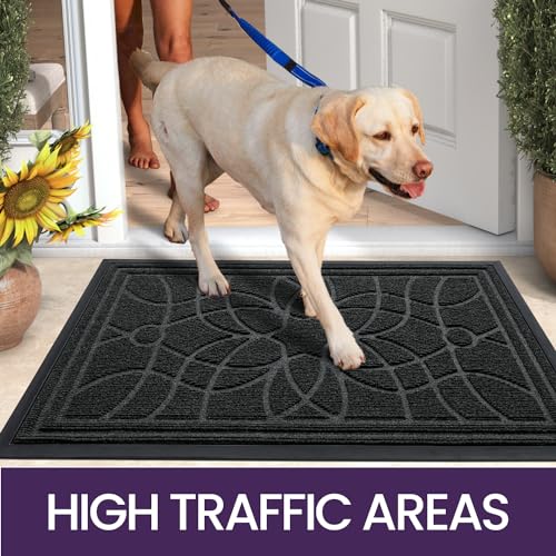 DEXI Zerbino Ingresso Esterno 90 x 150 cm, Tappeto...