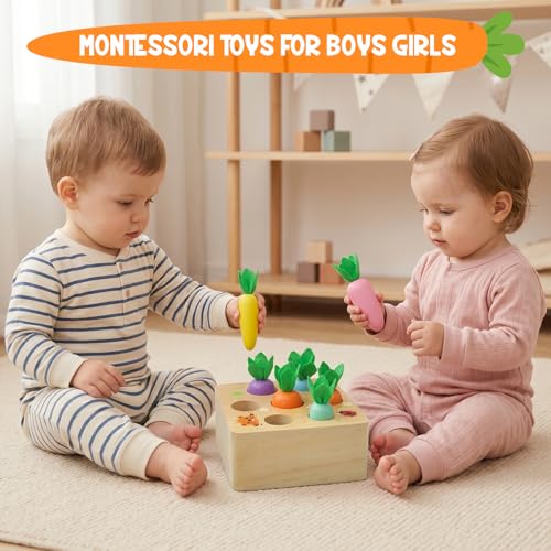 Image of Wdmiya Montessoritoys for 1 Year Old, Wooden Toys Developmental Shape Sorting & Matching Puzzle Macaron Carrots Harvest Game, Birthday Gifts for Toddlers Babies Boys and Girls 6-12 Months Christmas