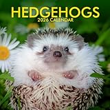 Hedgehogs Calendar 2026: A Year of Adorable & Spiky Friends: Charming Portraits of Nature's Prickliest Sweethearts