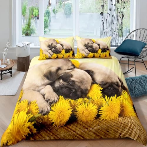 zcJo[ pO zcZbg _炩 ʋC ʋCz R hL h_j lGʗp |GXe ӂƂZbg (190x210cm) + 2 Jo[ (43x63cm)